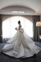 AmazingMermaid Lace Wedding Dress with Sleeves Bowknot Detachable Overskirt Bride Dress
