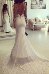 Classic Mermaid Sheer Long Sleeves Appliques Wedding Dresses