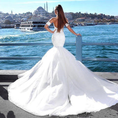 Modern Mermaid Sweetheart Modern Wedding Dresses Lace Dresses for Weddings with Choker