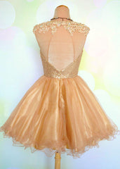Cap Sleeve Jewel Appliques Sequins Sheer A Line Gold Organza Backless Corset Homecoming Dresses outfit, Cute Dress