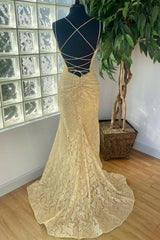 Elegant Gold Mermaid Lace Long Corset Prom Dress outfits, Party Dresses Pink