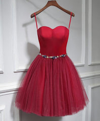 Cute Sweet Neck Short Corset Prom Dress, Mini Dresses outfit, Stunning Dress
