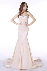 Champagne Satin Mermaid Spaghetti Straps Corset Prom Dresses With Beading outfit, Prom Dress Pink