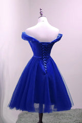 Cute Royal Blue Tulle Simple Party Dress , Lovely Corset Formal Dress, Blue Corset Homecoming Dresses outfit, Prom Dresses Elegent