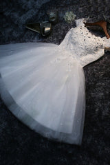 Cute Tulle Short A-Line Corset Prom Dress, Off the Shoulder Corset Homecoming Party Dress Outfits, Evening Dress Sleeves