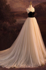 Elegant Tulle Long A-Line Corset Prom Dress, Evening Party Dress Outfits, Formal Dresses Over 59