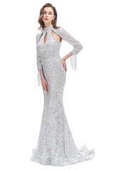 Long Sleeve Mermaid Corset Prom Dresses Silver Sequins Trumpet Gowns, Evening Dresses Dresses