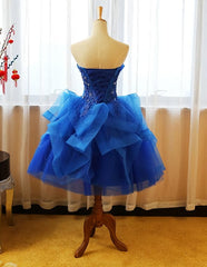 Royal Blue Knee Length Party Dress with Applique, Short Corset Prom Dress outfits, Fall Wedding Ideas