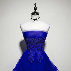 Royal Blue Tulle with Lace Applique High Low Party Dress, Blue Corset Homecoming Dress outfit, Party Dress New Look