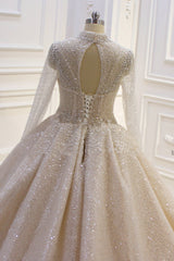 Shiny Sequined Long Sleevess Pleats Champange Corset Wedding Dress outfit, Wedding Dress 