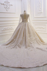 Shiny Sequined Long Sleevess Pleats Champange Corset Wedding Dress outfit, Wed Dress Lace