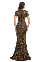 Short Sleeves Sequins A-Line Corset Formal Evening Dress outfit, Shirt Dress