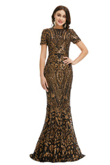 Short Sleeves Sequins A-Line Corset Formal Evening Dress outfit, Casual Gown